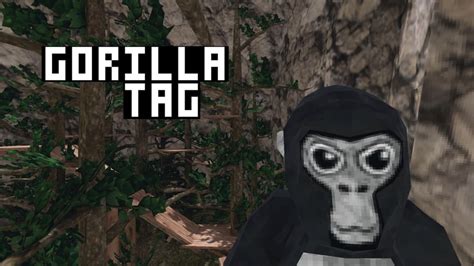 Now click on Patch my App! After it is patched, you will need to get Mods for <b>Gorilla</b> <b>Tag</b> on the Oculus Quest 2. . Gorilla tag vr